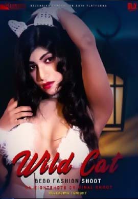 Wild Cat